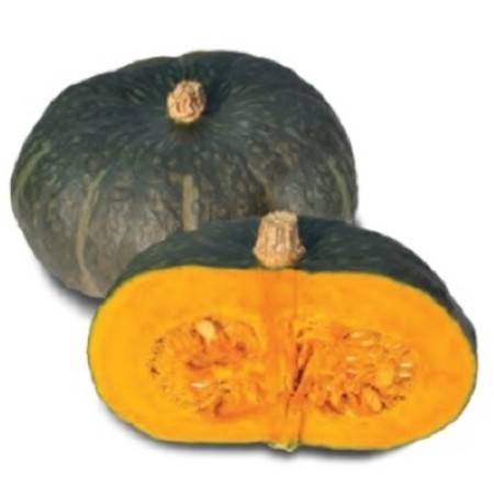 ZUCCA DELICA FRESCA